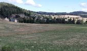 Tocht Stappen Peyre en Aubrac - BOUCLE AU DEPART DE FAU DE PEYRE - Photo 11