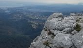 Trail Walking Saint-Jeannet - Baou de Saint-Jeannet (802m) - Photo 3