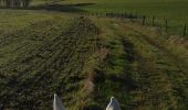 Trail Horseback riding Saint-Martin - montée des vaches domevre verdenal la vache morte kaline vispa  - Photo 6