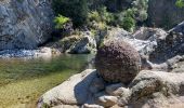 Randonnée Marche Fabras - Fabras Jaujac les orgues basaltiques  - Photo 8