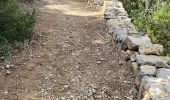 Trail Walking Nans-les-Pins - De Nans les pins vers les sources de l'Huveaune - Photo 3