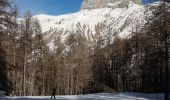 Randonnée Raquettes à neige Méolans-Revel - Laverq - Photo 5