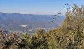Trail Walking Saint-Bauzile - St-Bauzile Trail Walking Saint-Bauzile - St-Bauzile