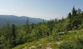 Tour Wandern Corrençon-en-Vercors - Boucle Les Ravières - Photo 1