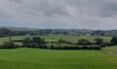 Tour Wandern Beauraing - Pondrome 121021 - Photo 1