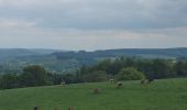 Percorso Marcia Bertrix - rando auby sur semois 7-05-2025 - Photo 3