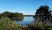 Randonnée Marche Moux-en-Morvan - Lac des Settons - Photo 2