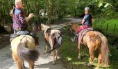 Trail Horseback riding Baztan - Elizondo - Urdax - Photo 5