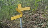 Excursión Senderismo La Trinité - Les Tours de Montmayeur au départ de la Trinité via col de Cochette - Photo 11