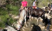 Tocht Paardrijden Fanlo - Parc National d’Ordesa J4 - Photo 5