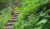 Tocht Stappen Oberhaslach - Circuit des 2 cascades - Photo 1