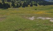 Tour Wandern Châtillon-en-Diois - Vallon de Combau  - Photo 4