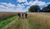 Percorso A piedi Sainte-Mesme - Boucle en forêt de Dourdan au départ de Sainte Mesme - Photo 4