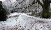 Tocht Te voet Wyre Forest - Stourport Circular Walk - Photo 4