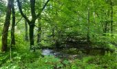 Trail Walking Habay - marche adeps ruelles  - Photo 3