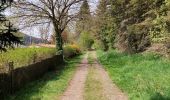 Trail Walking Gouvy - Au fil de l'eau - Gouvy   - Photo 9