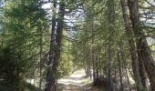 Randonnée Marche Crots - boucle du lac de Lauzerot via Les Gendres . cabane à Jules . clôt Besson . lac . les Gendres - Photo 3