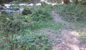 Trail Walking Consolation-Maisonnettes - consolation Roche du prêtre  - Photo 8