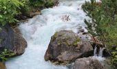 Trail Walking Pralognan-la-Vanoise - Le Petit Mont Blanc - Photo 15