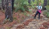 Tour Wandern Saint-Étienne-Vallée-Française - Saint Jean du Gard - Photo 1