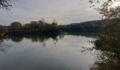 Tocht Stappen Châteauneuf-du-Rhône - Châteauneuf-du-Rhône Les Iles 6km - Photo 8