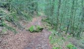 Trail Walking Wildenstein - Trek alsacien (boucle de Wildenstein) - Photo 14