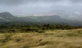 Excursión Senderismo Le Morne-Rouge - Domaine de la vallée via Hbt Pecoul - Photo 5