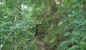 Trail Walking Lavaudieu - vallée  de la senouire - Photo 4
