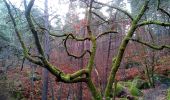 Trail Walking Fontainebleau - Un merle sur son mont - Photo 6