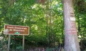 Trail Walking Sentheim - Buchberg - Rocher du Poilu  - Photo 4