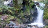 Tour Wandern Stoßweier - Saegmatt Cascade de Stolz Ablass Frankenthal - Photo 6