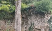 Randonnée Marche Laizy - chateau des vautheau - Photo 4