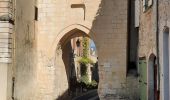Tour Wandern Saint-Rémy-de-Provence - CR_Domitia_BB_24_St-Remy-Provence_Orgon_20220405 - Photo 19