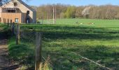 Trail On foot Anthisnes - Autour de Hestreux et Limont - Photo 2