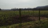 Trail Nordic walking Condé-sur-l'Escaut - la grande boucle de Condé sur Escaut  - Photo 11