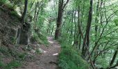 Tocht Stappen Dison - 4821 Andrimont (Verviers) 15Km marche adeps du 15/05/2022 - Photo 4