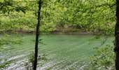 Trail Walking Froidchapelle - La balade du bois du Grand Oupia aux lacs de l'eau d'heure - Photo 14