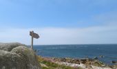 Trail Walking Île-de-Batz - Île de Batz  - Photo 2