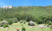 Randonnée Marche Bouvante - col du carri - Photo 9