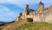 Percorso Marcia Karkasonas - carcassonne under the sun  - Photo 5