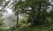 Randonnée Marche Accous - Cabane du Bergout - Photo 4