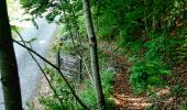 Tour Wandern Saint-Agnan-en-Vercors - Les Rancs de Charles - Vercors - La Coche - Photo 8