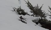 Excursión Raquetas de nieve Sos - raquettes et rando Azet 2 circuits - Photo 5