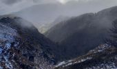 Tour Wandern Woll - sentier de névé  le hohneck - Photo 9