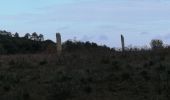 Tocht Stappen Collobrières - Menhirs Plateau Lambert  - Photo 6