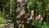 Randonnée Marche Arbas - Arbas, chemin du facteur avec extension Penne blanque - Photo 1