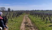 Percorso Equitazione Mollkirch - 2020-03-15 Picnic CVA Bernardswiller - Photo 2