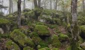 Randonnée Marche Mittelbergheim - Boucle des châteaux d'Andlau et du Sepsbourg - Photo 4