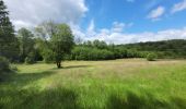 Tocht Stappen Gedinne - rando bourseigne vieille 15-06-2024 - Photo 15