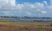 Trail Walking Plouharnel - PR_56_Plouharnel_CA_03_Entre-Baie-Et-Ocean_Circuit4a_20241025 - Photo 15